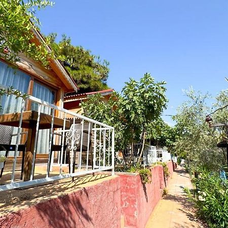 Gaia Bungalow Bed & Breakfast Ayvalik Luaran gambar