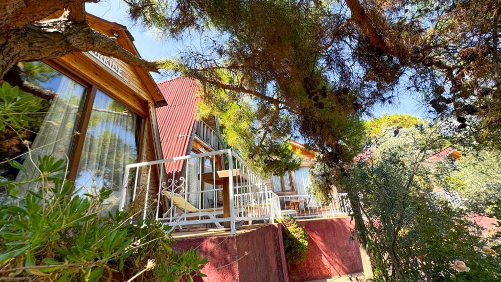 Gaia Bungalow Bed & Breakfast Ayvalik Luaran gambar