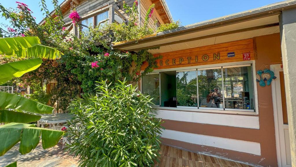 Gaia Bungalow Bed & Breakfast Ayvalik Luaran gambar